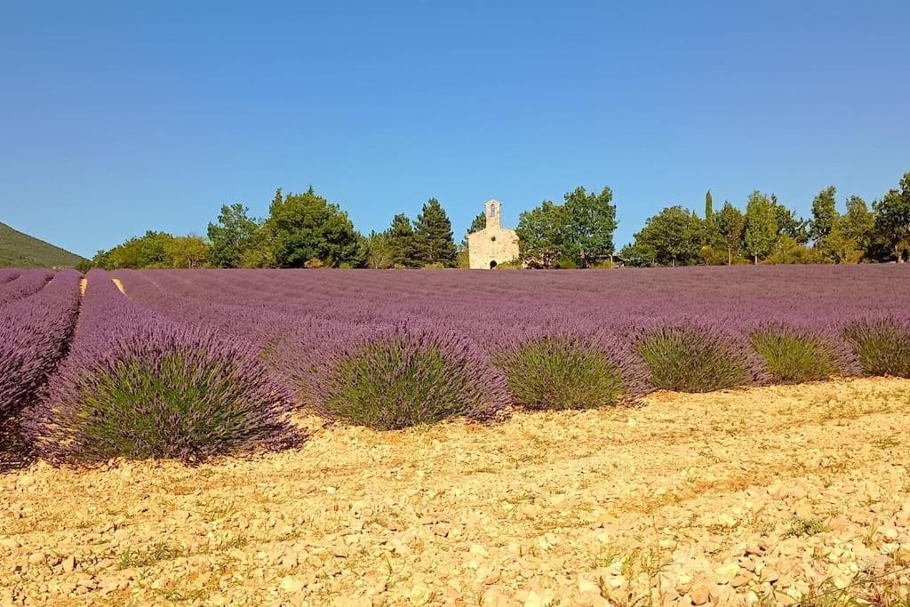 Mazet En Provence Pour 4, Piscine Chauffee Privee, Jardin Clos Prive, Barbecue, Chiens Admis Sainte-Jalle Екстер'єр фото